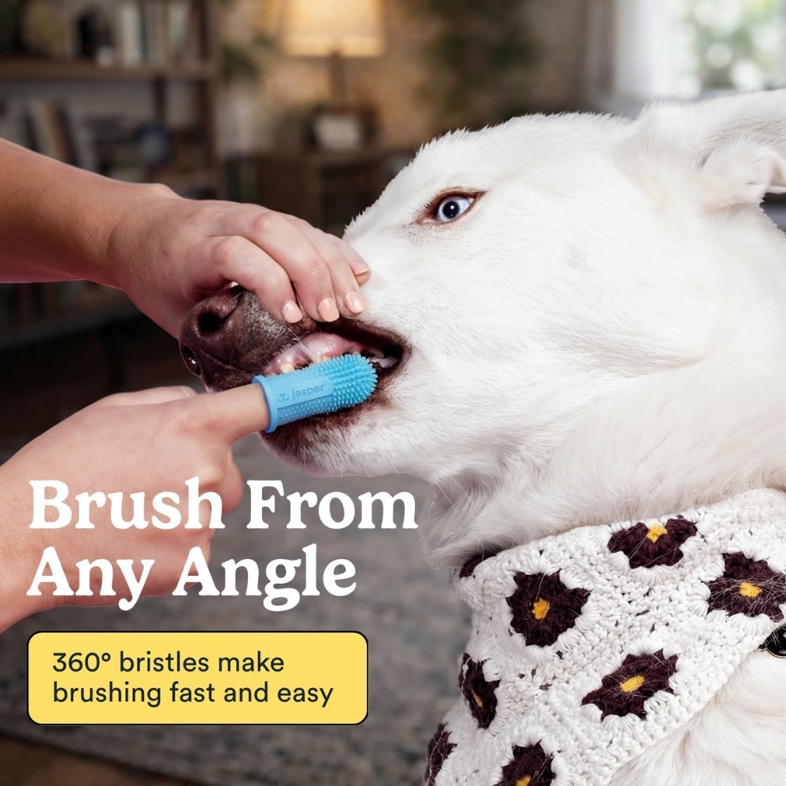 Dog Toothbrush, 360 Dog Tooth Brushing Kit, Finger Toothbrush, Cat Tooth Brush, Teeth Cleaning, Pet Tooth Brush For Small Large Pets