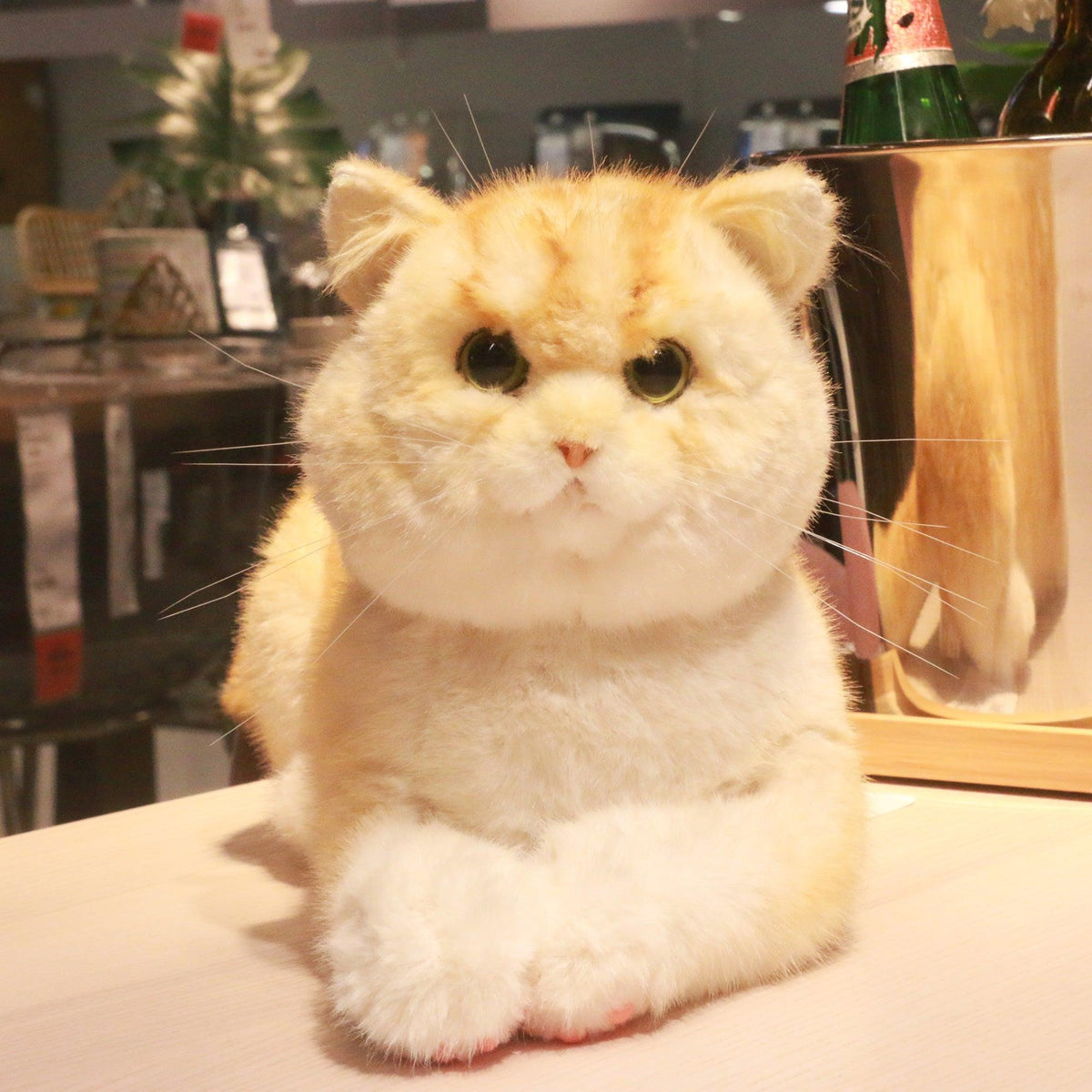 Golden Brtitish Short Hair Cat Plush – Weighted Emotional Support Toy Gift
