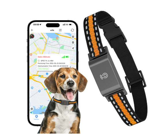 Pet Global Positioning Collar