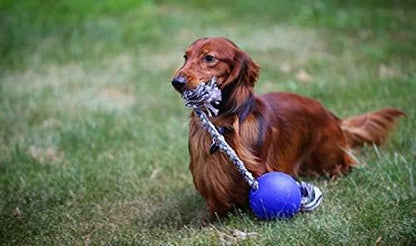 Jolly Pets Romp-n-Roll Rope and Ball Dog Toy, 4.5 Inches/Small, Blue (645 BL), for Small Breeds