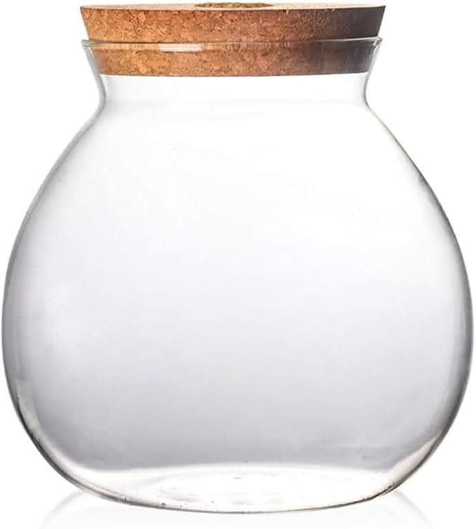 Small Betta Fish Tank Glass Fish Bowls for Betta Fish Goldfish, Aquaponic Fish Tank and Plants Cuttings Planter Terrarium Desktop Decorations Gifts