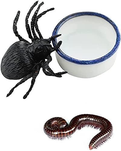 Tarantula Micro Water Bowl Spider Anti-Turnover Bowl for Small Hamster Tarantula Spider Scorpion Cricket Snail Manti Millipede Tiny Bugs Reptile Terrarium Cage Accessories (S (0.86''dia),4 Pcs)