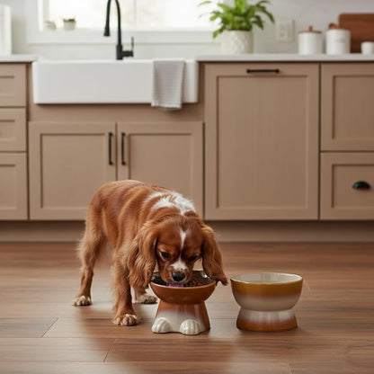 Nihow Dog Food & Water Bowls: Elevated Ceramic Bowls for Medium/Small Dog | Food Safe Raised Puppy Bowls - Brown Pet Bowl for Protecting Pet's Spine (Set of 2)
