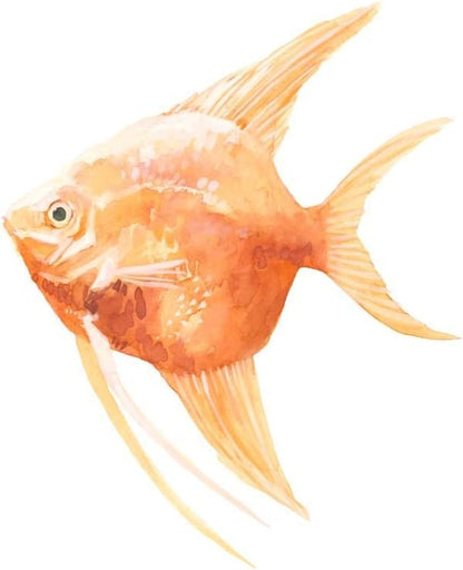 Discus Fish by Emma Scarvey, 4 Piece Unframed Art Print Set, 12 X 12 Inches Each, Sea Life Art