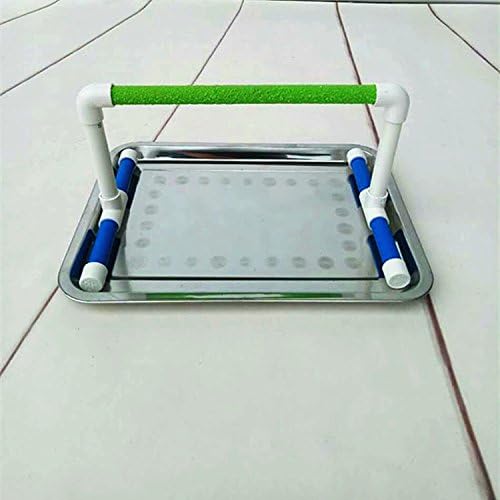 Small Bird Parrot Stand Perch Table Top Stand Playground Grind Perch Swing Training Playstand Exercise Chew Toys for Budgies Parakeet Cockatiel Conure Finch (Stainless Steel Tray, M)
