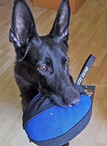Dingo Gear Dog Tug Ball Ø 11 cm Bite Training IGP K9 Fun Blue S02791