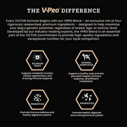 VICTOR Super Premium Dog Food – Grain Free Yukon River Canine – Supports Immune & Digestive Health for Dogs of All Life Stages – High Protein Dry Dog Food for All Normally Active Dogs, 15 lb