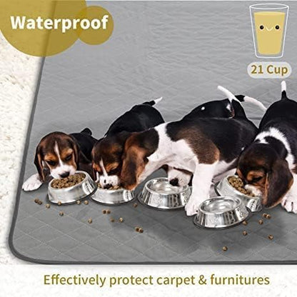 CoolShields Washable Pee Pads for Dogs, 34'' x 52'', Grey, 2 Pack | Ultra-Absorbent Reusable Waterproof Puppy Pad for Crates, Playpens, Carpets, and Floors—Ideal for Dogs, Cats, and Small Pets