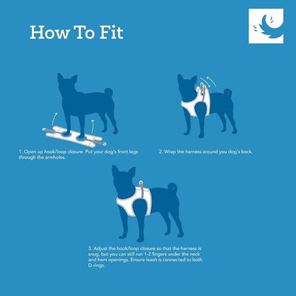 RC Pets Step in Cirque Harness XL Dark Teal