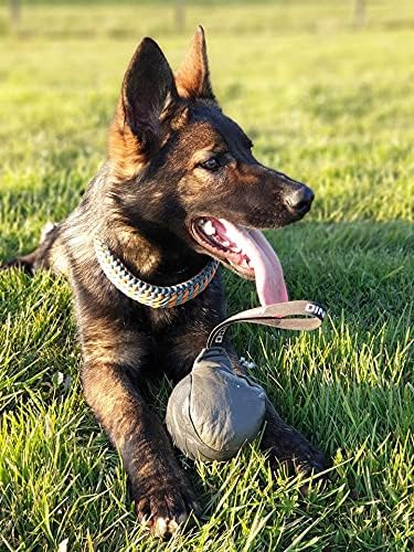 Dingo Gear Soft Genuine Leather Ball with a Handle for The Bite Training, Ø 11 cm Retrieve and Reward Dog Toy S02779, Random