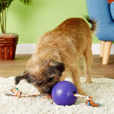 Jolly Pets Romp-n-Roll Rope and Ball Dog Toy, 4.5 Inches/Small, Purple, 4.5-Inch Romp-n-Roll, Purple