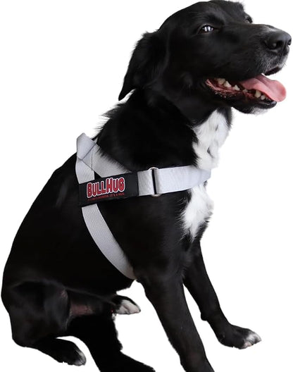 Adjustable Dog Harness– No Pull, No Choke – for English Bulldogs, French Bulldogs, Pugs & Broad-Chested Breeds – Easy, Safe Walks (Silver, Small)