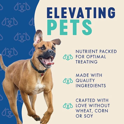 Finley's Blueberry Coconut Dog Biscuit Treats, All Natural, Limited Ingredient Dog, 12 Ounce (Pack of 1)