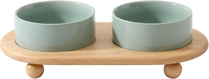 Ceramic Elevated Cat Food and Water Bowl, Kitty Bowl, Raised Cat Dish, Pet Feeder (5.1 in, 2 x Light Green + Stand)