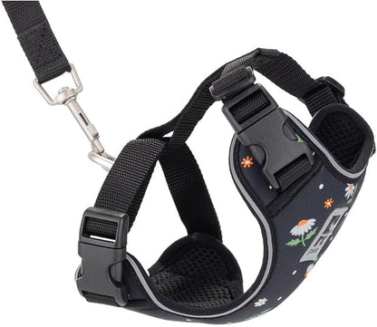 RC Pets Adventure Kitty Cat Harness | Adjustable Airmesh Vest with D-Ring and 6ft Leash for Walking and Travel | Daisies, Large