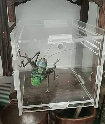 Magnetic Acrylic Case, micro habitat small Tarantula Enclosure enclosure for arboreal Tarantula Scorpion Sling Lizards Mantis Snake Gecko jumping spider snail Insect Isopods (3.5*3.5*3.7inch)