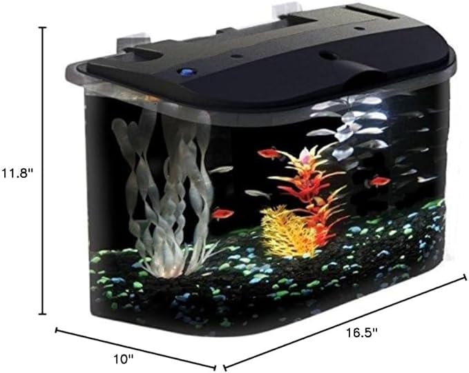 Koller Products 5-Gallon Aquarium Kit with LED Lighting and Power Filter, Ideal for a Variety of Tropical Fish
