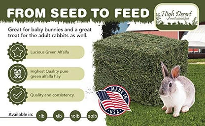 High Desert Alfalfa Hay for Rabbits, Guinea Pigs, Chinchillas & Small Pets – Protein-Rich Natural Hay for Young, Growing Animals – High-Fiber, Hand-Packed, Additive-Free, Grown in USA – 10 lb Box