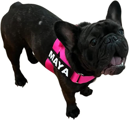 Adjustable Dog Harness– No Pull, No Choke – for English Bulldogs, French Bulldogs, Pugs & Broad-Chested Breeds – Easy, Safe Walks (NEON Pink, XL)