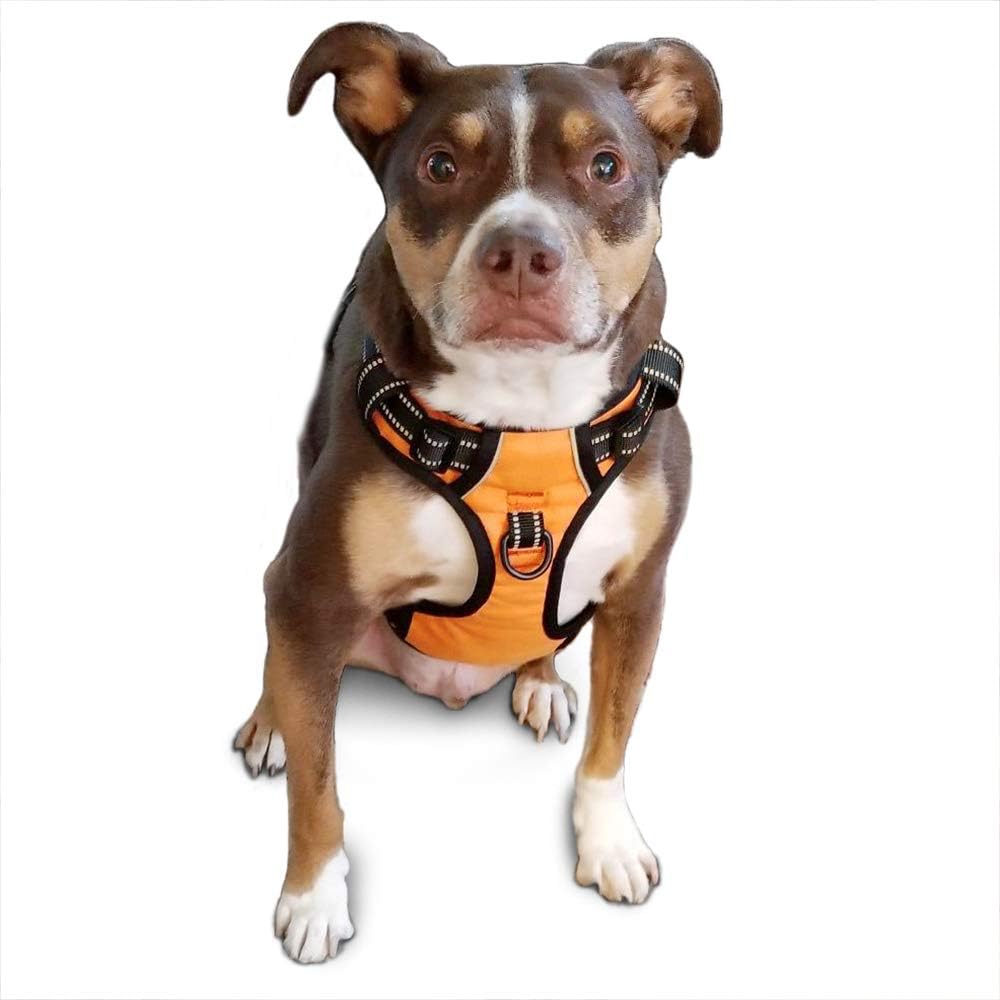 PoyPet No Pull Dog Harness, Reflective Comfortable Vest Harness with Front & Back 2 Leash Attachments and Easy Control Handle Adjustable Soft Padded Pet Vest for Small to Large Dogs (Orange,M)