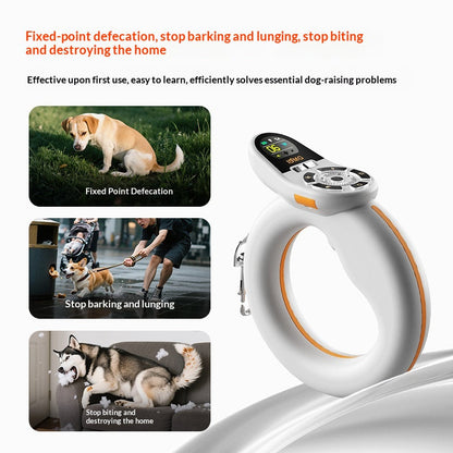 Training And Leash