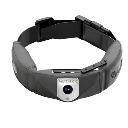 C10 Smart Pet Collar Monitoring Health Multifunctional