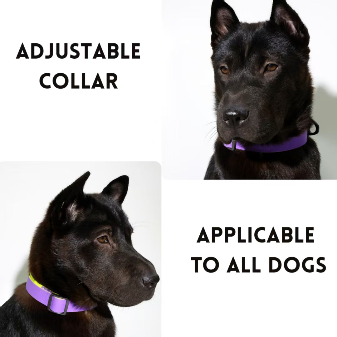Honeycomb Embossed Dual-Color Pet Leash Set Is Stylish And Fashionable. The Embossed Surface Enhances The Leash's Grip, Preventing Slippage When Held. The Product Is Waterproof, Wear-resistant, Odor-r