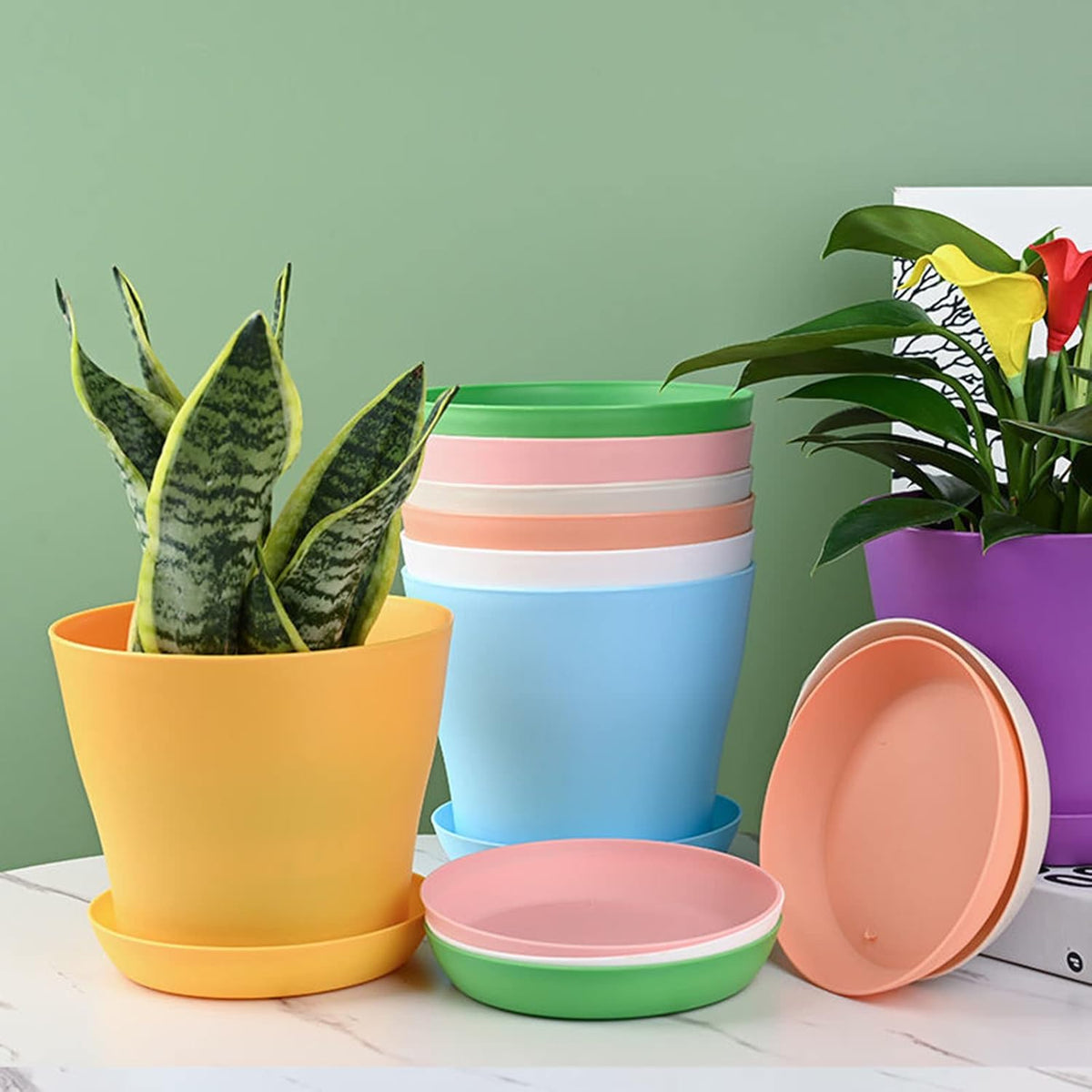 50 Pack 4 Inch Plant Pots Bulk Small Plastic Planters Pots with Drainage Holes Flower Pot for Succulent, Cactus, Herb, African Violet (50pcs-Multicolor, 4Inches)