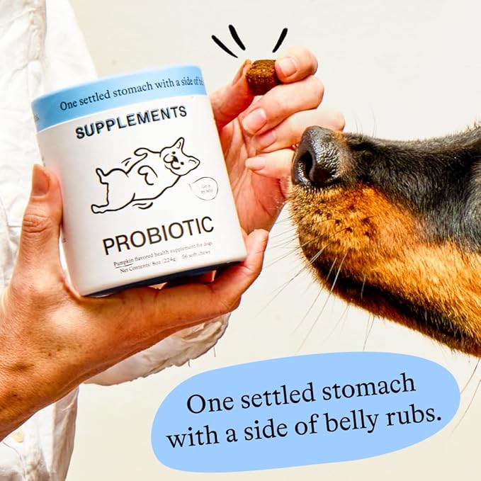 Spot & Tango Probiotics Supplements for Dogs - Vet-Approved for Healthy Digestion and Balanced Gut - Pumpkin, Turmeric, Chicory Root, Black Pepper, Nine-Strain Probiotic Blend, 56 Count