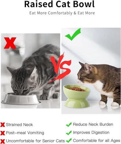 Cat Water Bowl, 16 OZ Ceramic Elevated Cat Bowls, 15° Tilted and Raised Pet Food Dish, Anti Vomiting Protect Pets' Spines and Whisker Fatigue