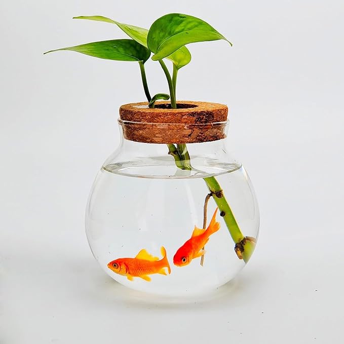 Small Fish Bowl, Cute Betta Tank, High Clear Fish Glass Bowl, Desktop Mini Aquarium Vases for Betta Fish and Hydroponic Plants, Plants Propagation Station, Home Office Table Decorations
