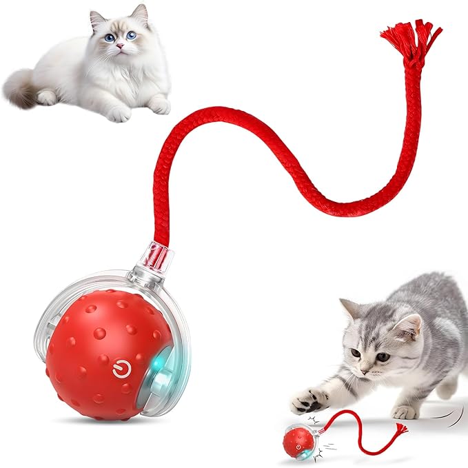 Tiny Fetch Dog Toy, Tinyfetch Interactive Dog Cat Toys Balls with Birdsong, 360° Smart Automatic Rolling Electric Dog Ball Toy, Fast Moving Balls Toys for Pets (red)