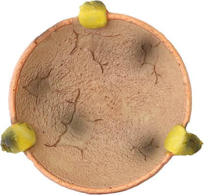 Food/Water Dish for Reptiles, Amphibians and Other Little Critters Water/Food Bowl, Made from Premium Resinl, Reptile Feeding Bowls for Bearded Dragon Lizard,Hermit Crab,Gecko,Tortoise,Frog