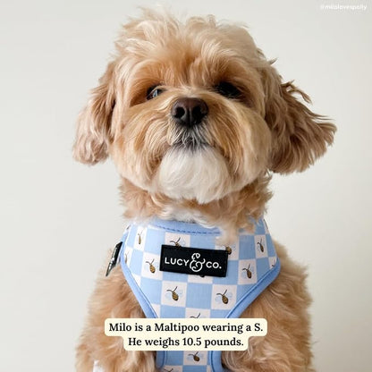 Lucy & Co. Reversible Dog Harness - Water-Repellent Neoprene, Dual-Print Design, Easy Swap Style, Adjustable Comfort Fit - Bumbling Around Reversible Harness - Large