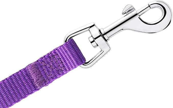 AMAGOOD 6 FT Puppy/Leash, Strong Traditional Style with Easy to Use Collar Hook, Great for Small, Medium and Large Dogs (5/8in x 6 ft, Purple)