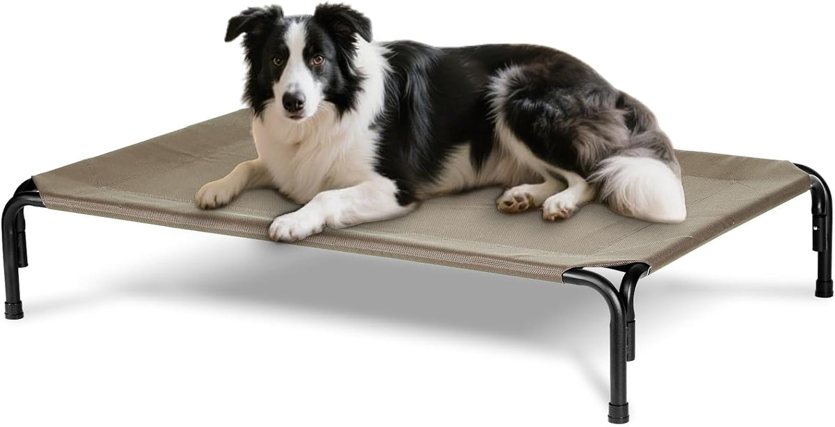 Elevated Dog Bed for Outdoor, Large Raised Dogs Cot for Training, Cooling Pet Beds with Washable Mesh, Indestructible Lifted Platform for Outside Camping, 41 inch Brown