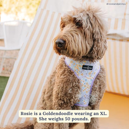 Lucy & Co. Reversible Dog Harness - Water-Repellent Neoprene, Dual-Print Design, Easy Swap Style, Adjustable Comfort Fit - Among Wildflowers Reversible Harness - X-Large