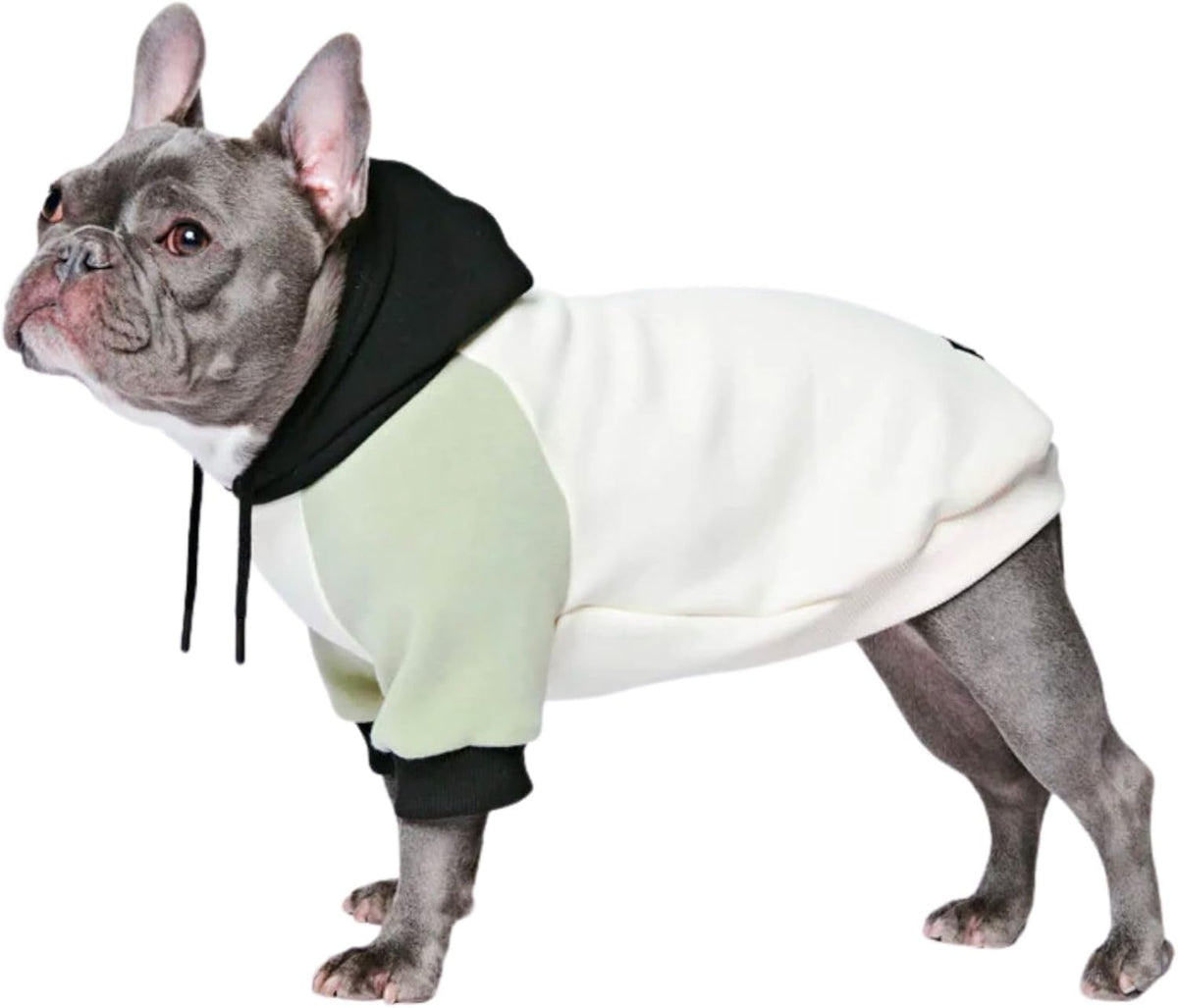 Spark Paws Dog Hoodie – Premium Dog Sweater for Small, Medium, and Large Dogs | Warm Outfits for French Bulldogs, Pitbull, Puppy, Winter Jacket Alternative - Olive Cream - XL