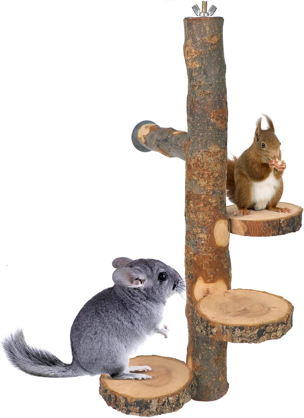 YKD Chinchilla Large Hanging Wooden Rotating Platform - Small Animals Natural Fruit Wood Standing Platform - Squirrel Suger Glider Platform - Bird Perch Platform