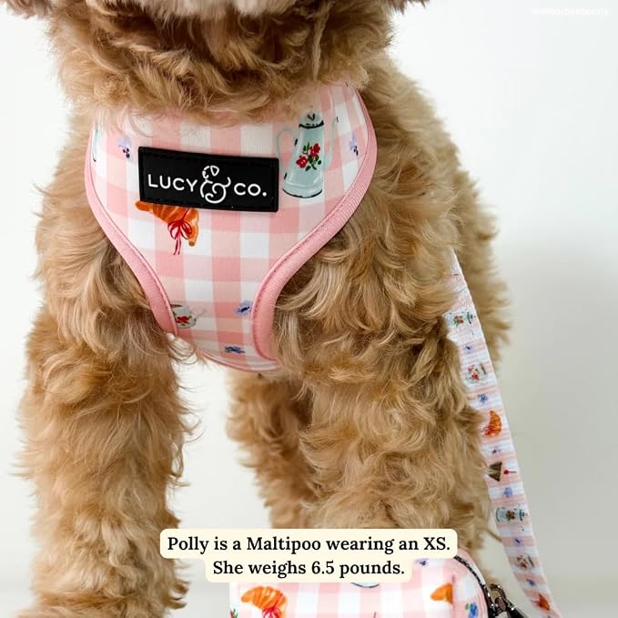 Lucy & Co. Reversible Dog Harness - Water-Repellent Neoprene, Dual-Print Design, Easy Swap Style, Adjustable Comfort Fit - Sipping Slowly Reversible Harness - X-Large