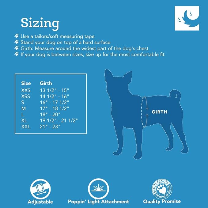 RC Pets Step in Cirque Harness L Parakeet