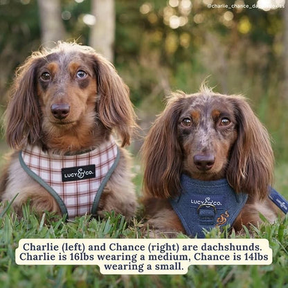 Lucy & Co. Reversible Dog Harness - Water-Repellent Neoprene, Dual-Print Design, Easy Swap Style, Adjustable Comfort Fit - Camp Out Reversible Harness - X-Large