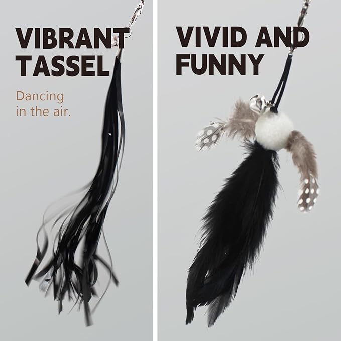 SONGWAY Cat Wand Toys for Indoor Cats - Cat Toy Set with Retractable Teaser Wand and 6 PCS Feather Toy Refills, Dragonfly Tassel Cat Toys Interactive, Black