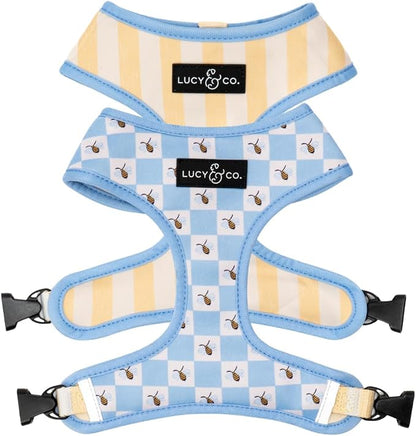 Lucy & Co. Reversible Dog Harness - Water-Repellent Neoprene, Dual-Print Design, Easy Swap Style, Adjustable Comfort Fit - Bumbling Around Reversible Harness - Large