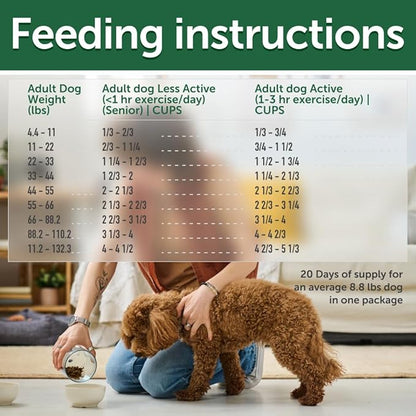 Nature's Protection Dry Dog Food for Small, Medium & Large Breed - High Protein, Grain Free Tear Stain Diet - Dog Kibble for Puppy & Adult Dogs with Red Fur (Superior Care - Lamb, 8.8 lb)