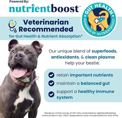 Solid Gold Healthy Dog Treats - Functional Pumpkin Dog Teats w/Flaxseed & Gentle Superfoods for Gut Health & Digestion - Gluten Free Healthy Training Treat for Dogs of All Ages & Sizes - 5.2 oz