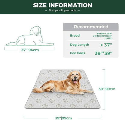 FXW Washable Pee Pads for Dogs, Super Absorbent, 39" Square, 2 Packs | Machine washable, Non-slip backing
