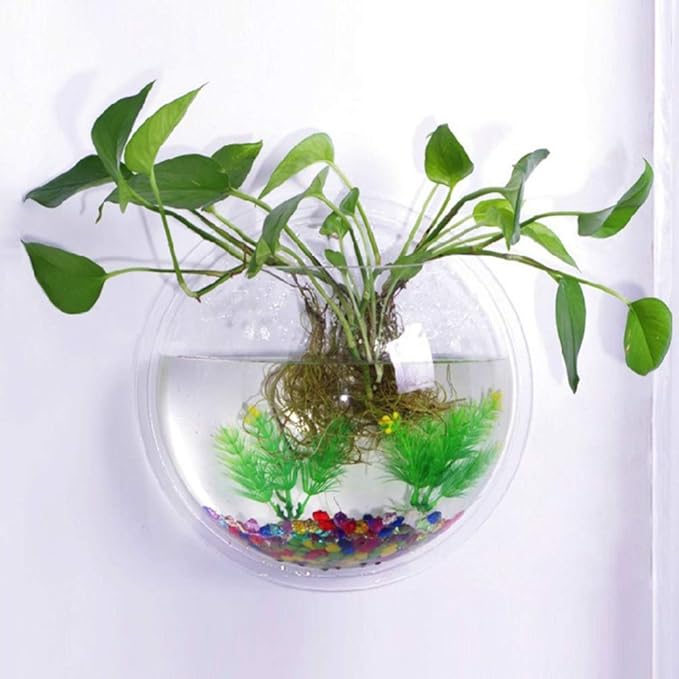 iplusmile Wall Mounted Planter 6.7 Inch, Clear Acrylic Hanging Bubble Vase for Plant Propagation Air Plants, Shatterproof Round Terrarium Bowl for Home Office Decor