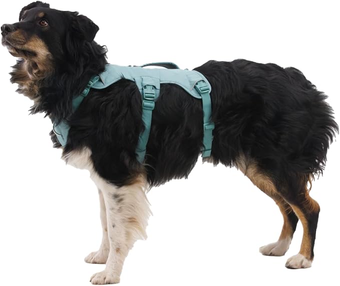 Ruffwear, Web Master, Multi-Use Support Dog Harness, Hiking and Trail Running, Service and Working, Everyday Wear, Basalt Gray, X-Small