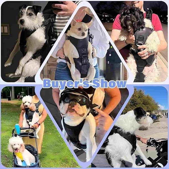YUDODO Front Pet Carrier Backpack for Small Dog, Legs Out Dog Chest Carrier | Safety Belt, Ergonomic Support, Hands Free, Durable & Comfortable, For Walking Hiking Cycling, Black, M